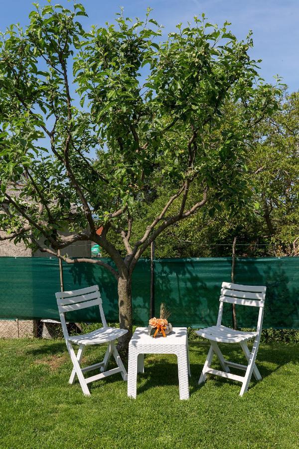 House Anna Apartment Porec Exterior photo
